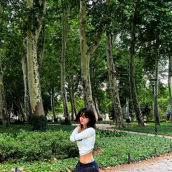protheme instagram image archive image
