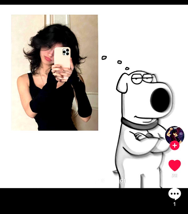 protheme instagram image archive image