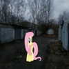 protheme Altpins Profile Picture