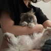 protheme Altpins Profile Picture