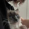 protheme Altpins Profile Picture