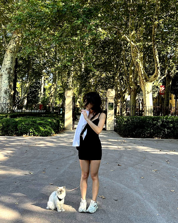 protheme instagram image archive image
