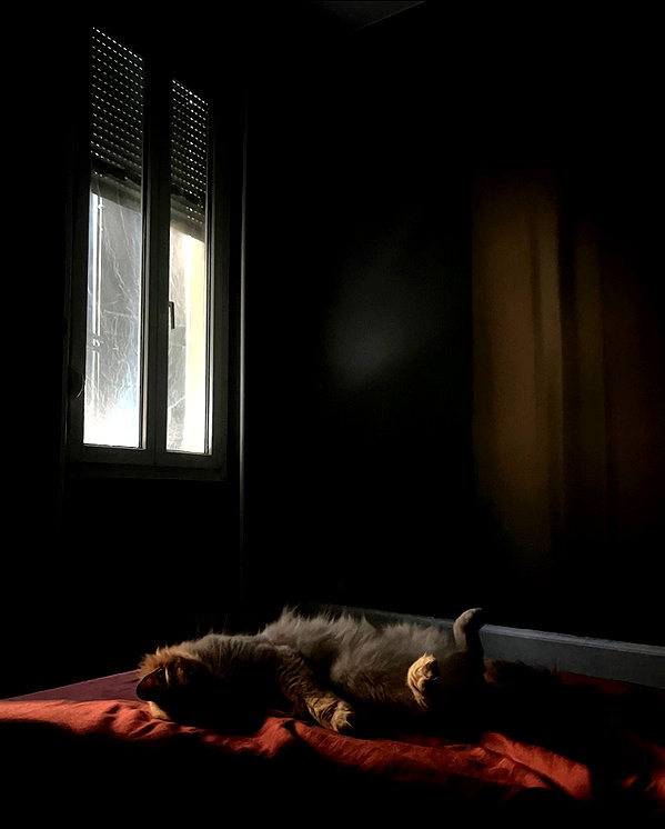 protheme instagram image archive image