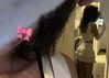 protheme Altpins Profile Picture