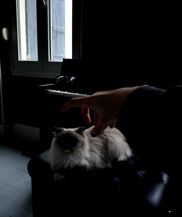 protheme instagram image archive image