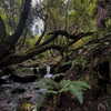 psychedelic_mess______ Altpins Profile Picture