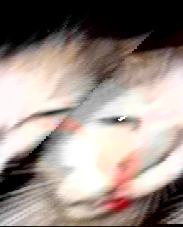 purrrik purrrik archive image