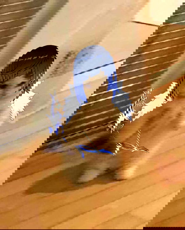 purrrik purrrik archive image