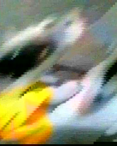 purrrik purrrik archive image