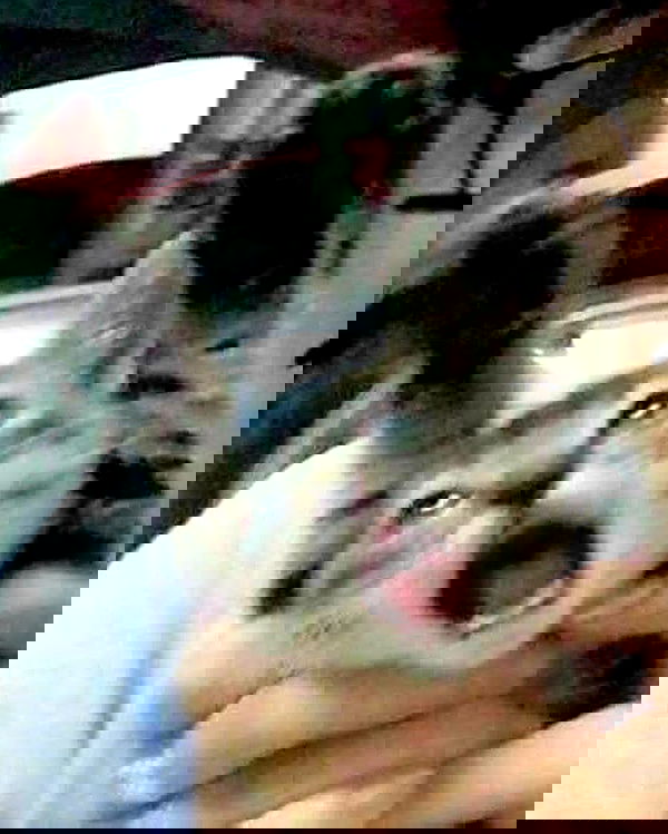 purrrik purrrik archive image