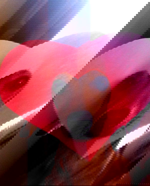 purrrik purrrik archive image