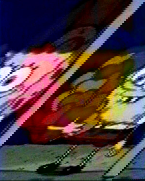 purrrik purrrik archive image