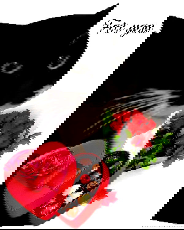 purrrik purrrik archive image