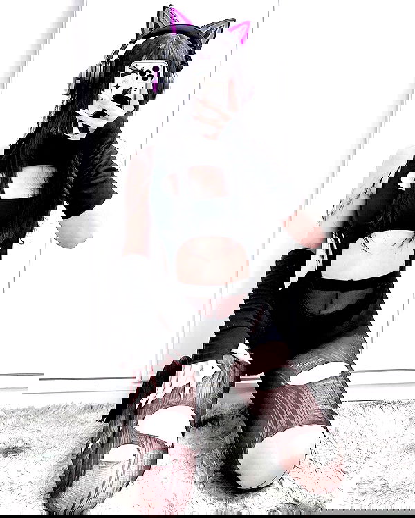 purrrik purrrik archive image