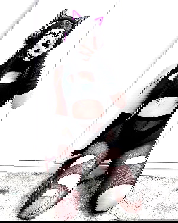 purrrik purrrik archive image