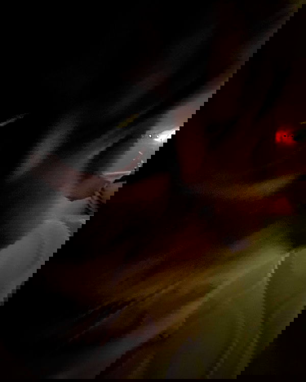 purrrik purrrik archive image