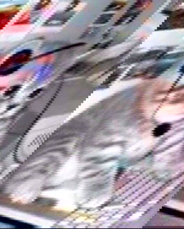 purrrik purrrik archive image