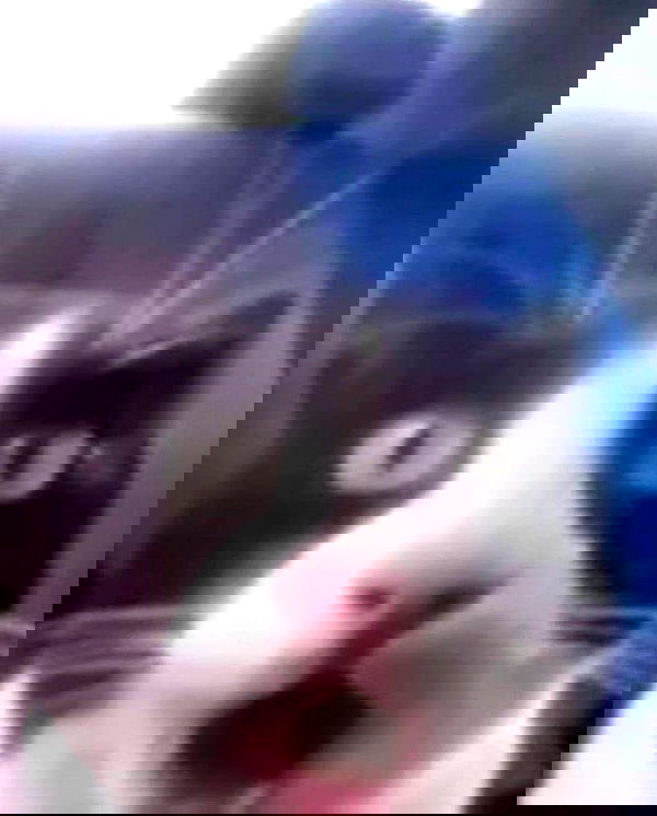 purrrik purrrik archive image