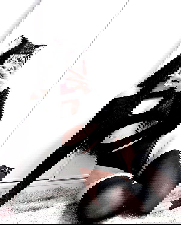 purrrik purrrik archive image