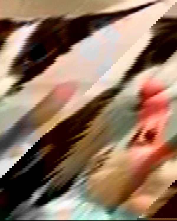 purrrik purrrik archive image