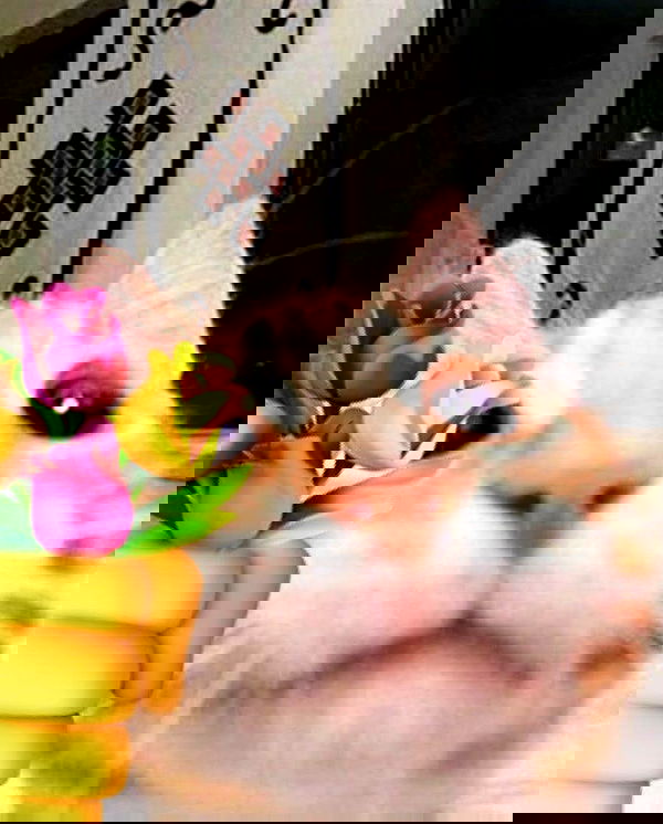 purrrik purrrik archive image