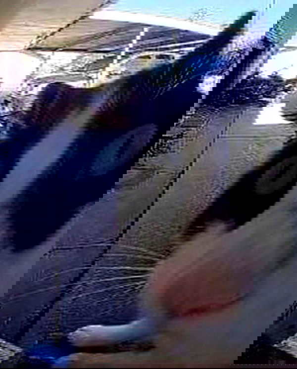 purrrik purrrik archive image