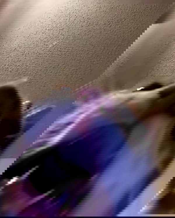 purrrik purrrik archive image