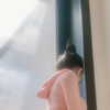 qiaoniu1987 Altpins Profile Picture