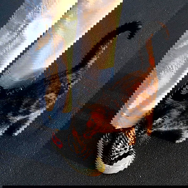 quincymood quincymood archive image