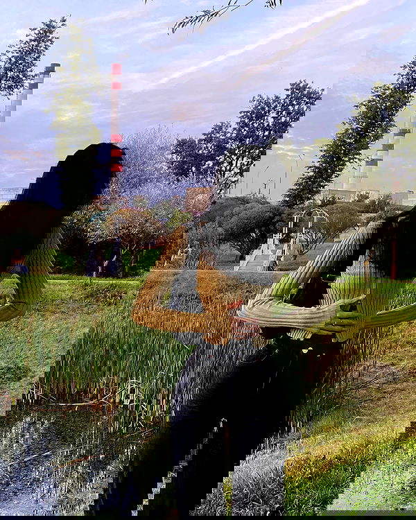 quincymood quincymood archive image