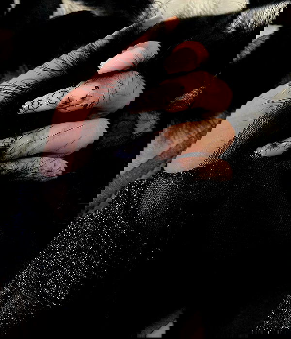 quincymood quincymood archive image