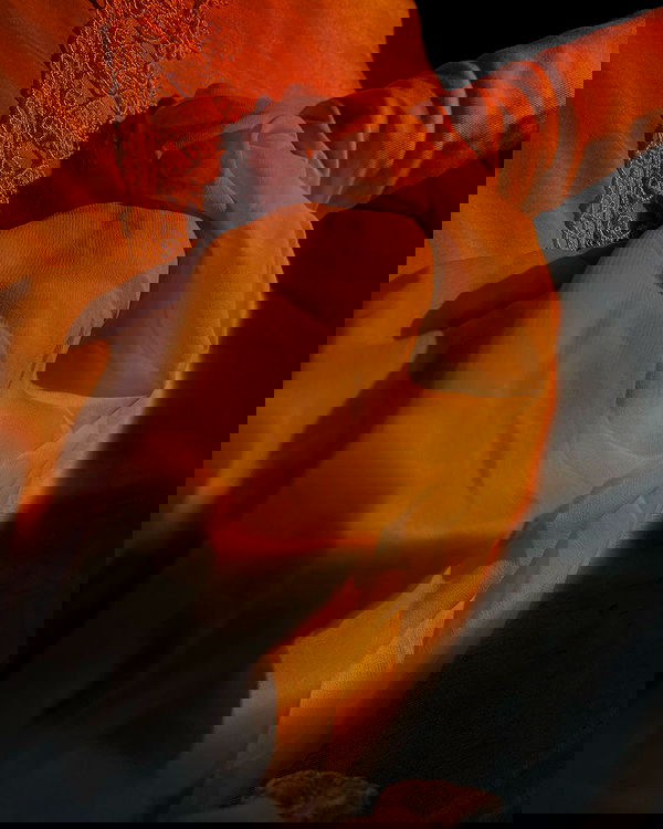 quincymood quincymood archive image