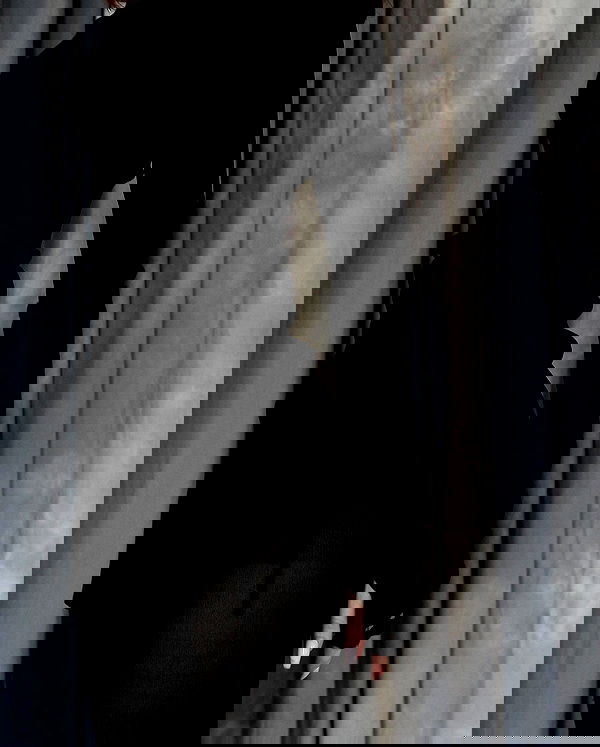 quincymood quincymood archive image