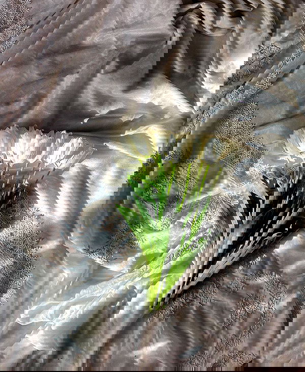 quincymood quincymood archive image