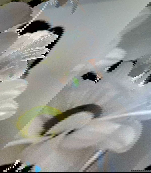 quincymood quincymood archive image