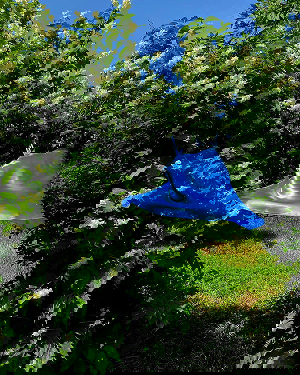 quincymood quincymood archive image