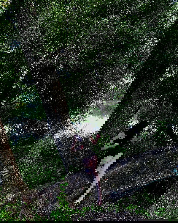 quincymood quincymood archive image