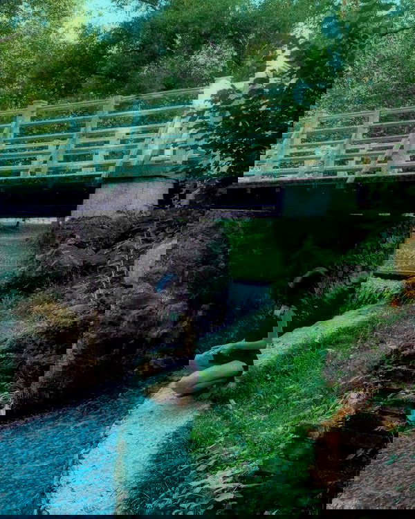 quincymood quincymood archive image