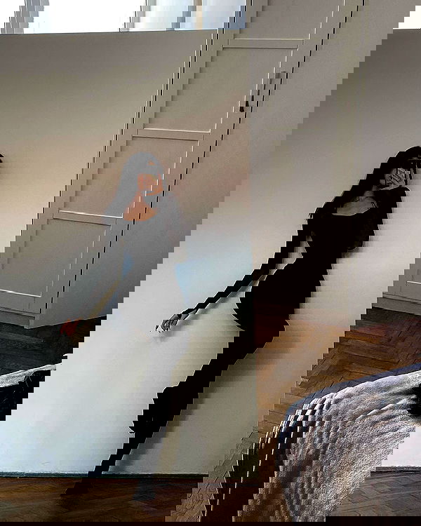 quincymood quincymood archive image