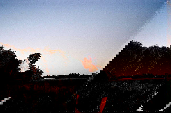 quincymood quincymood archive image