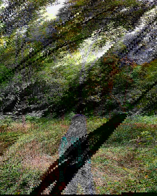 quincymood quincymood archive image