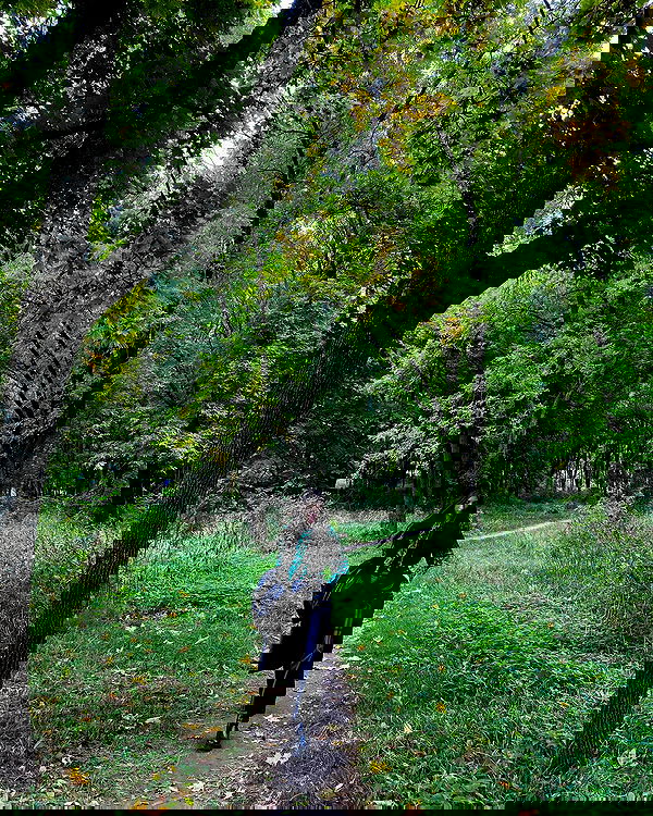 quincymood quincymood archive image