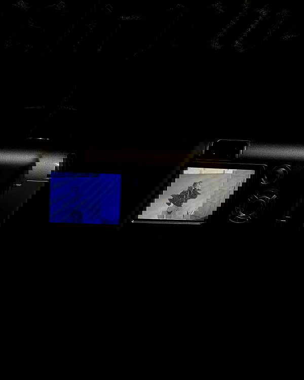 quincymood quincymood archive image