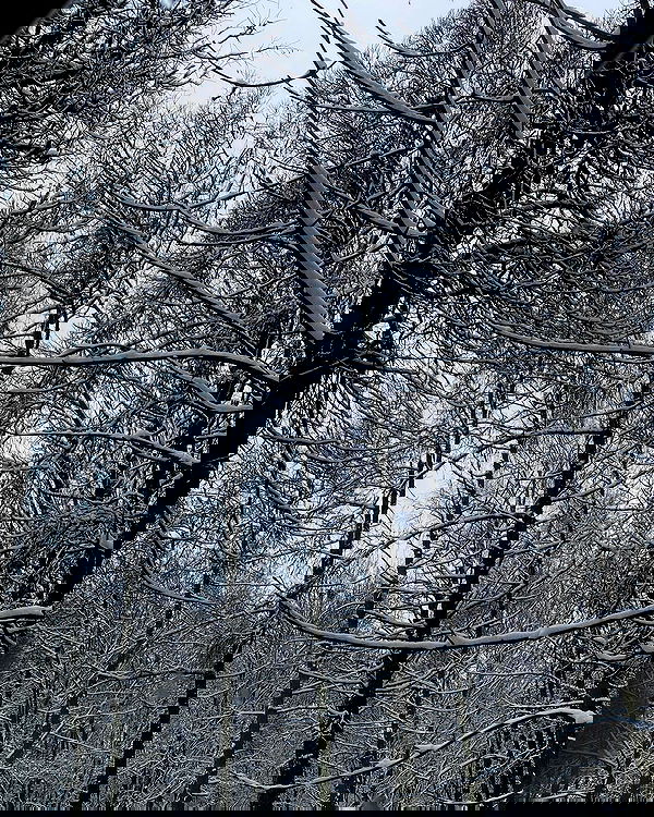 quincymood quincymood archive image