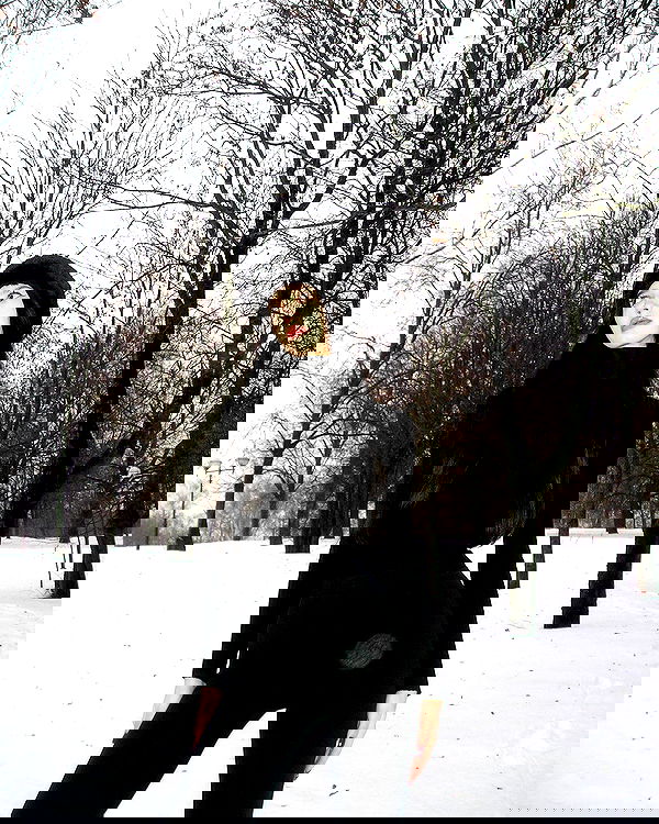 quincymood quincymood archive image