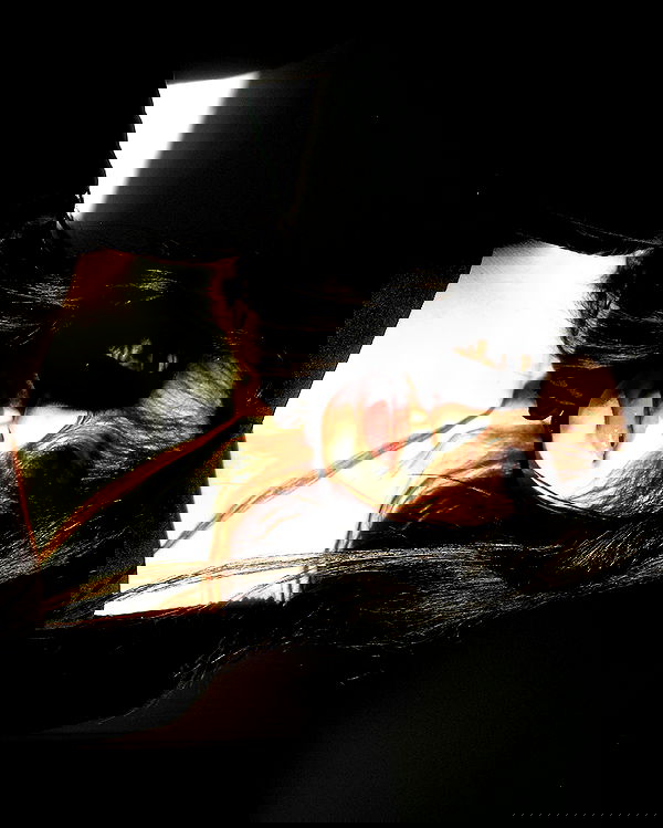 quincymood quincymood archive image