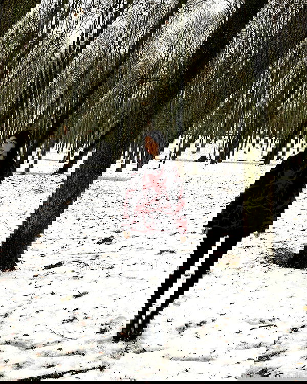 quincymood quincymood archive image