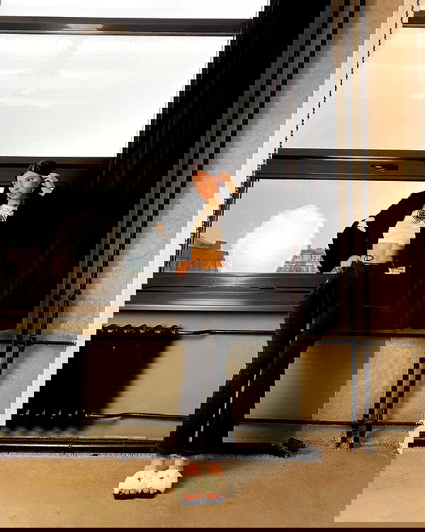 quincymood quincymood archive image