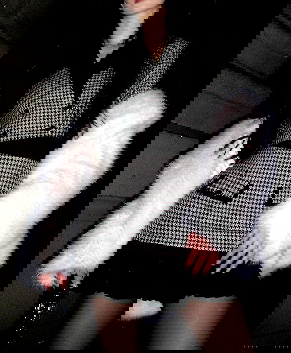 quincymood quincymood archive image