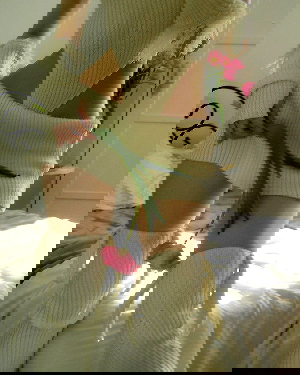 quincymood quincymood archive image